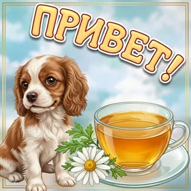 Картинка классная картинка с собачкой