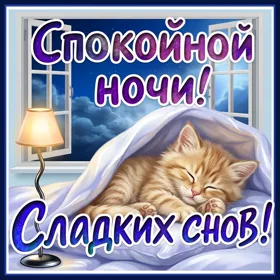 Открытка картинка спокойной ночи с котенком