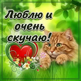 Открытка картинка скучаю с котиком