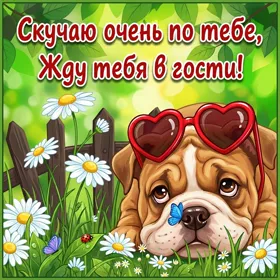 Открытка картинка скучаю с собачкой