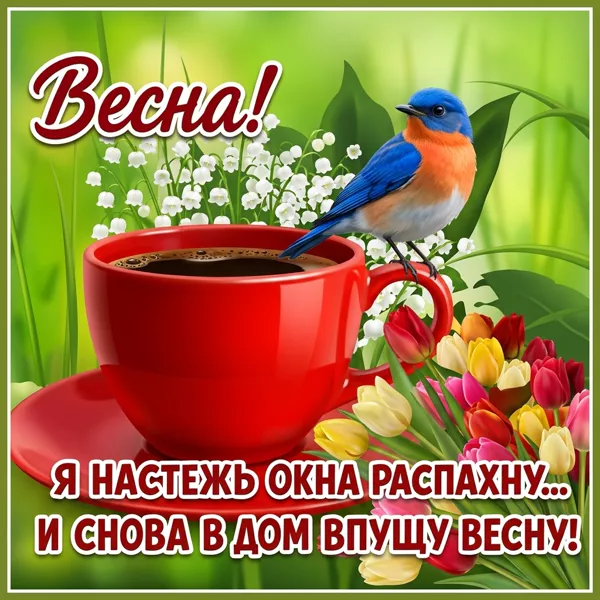 Открытка нежная картинка с весной