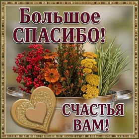 Картинка картинка спасибо от души