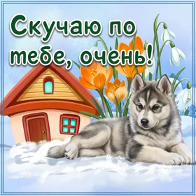 Картинка нежная  картинка скучаю