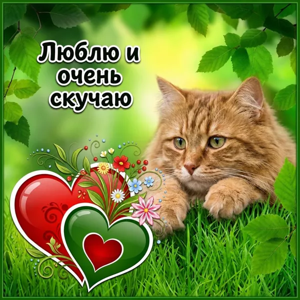 Открытка картинка скучаю и люблю