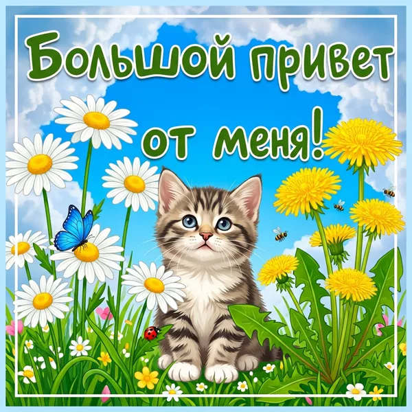 Открытка нежная картинка привет