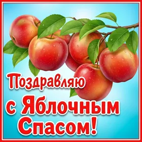 Открытка праздничная картинка яблочный спас