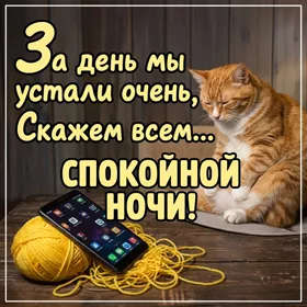 Открытка супер картинка спокойной ночи