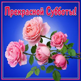 Картинка супер картинка прекрасной субботы