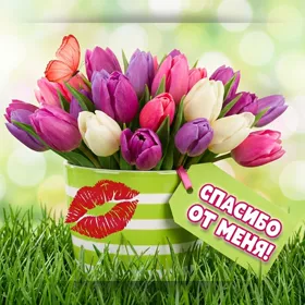 Открытка картинка спасибо от меня