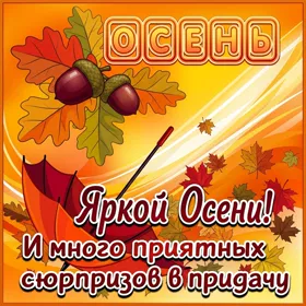 Открытка картинка желаю яркой осени