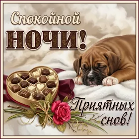 Картинка хорошая картинка приятных снов с песиком