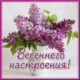 Картинка картинка весеннего настроения