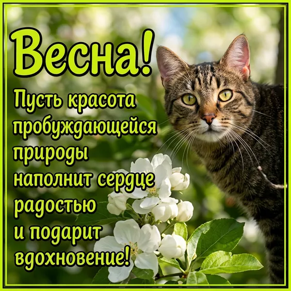 Открытка открытка счастливой весны