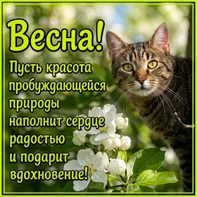 Открытка открытка счастливой весны
