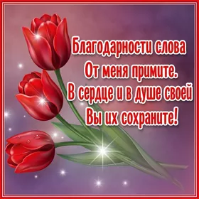 Открытка новая открытка спасибо