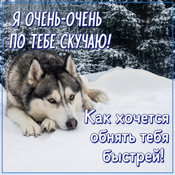 Картинка зимняя открытка скучаю