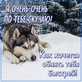 Картинка зимняя открытка скучаю