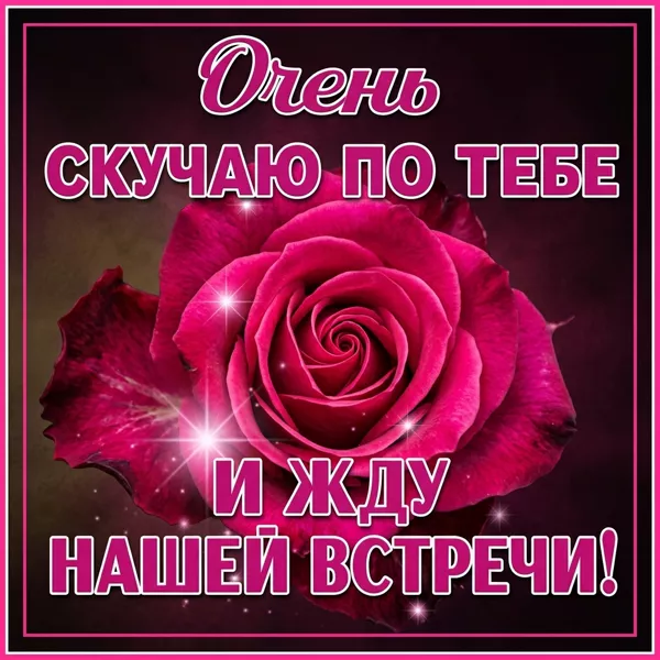 Открытка открытка скучаю с розой