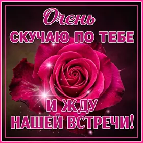 Открытка открытка скучаю с розой