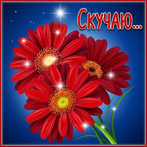 Картинка чудесная открытка скучаю