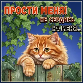 Картинка прикольная открытка прости