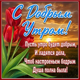 Картинка привлекательная картинка доброе утро