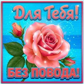 Картинка открытка с пожеланиями с розой
