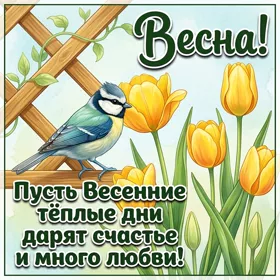 Открытка красивая открытка прекрасной весны