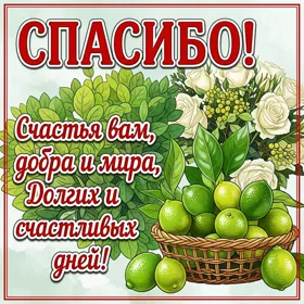 Картинка замечательная открытка спасибо