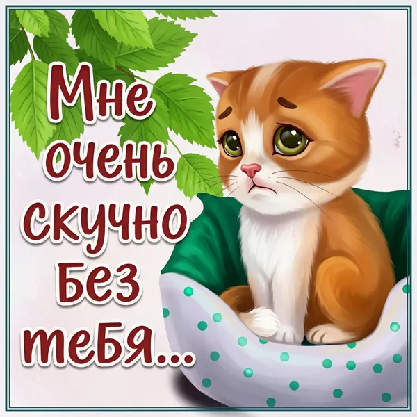 Открытка очень милая открытка скучаю