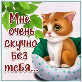 Открытка очень милая открытка скучаю