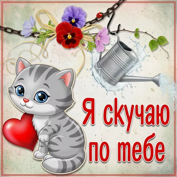 Картинка открытка скучаю с котенком