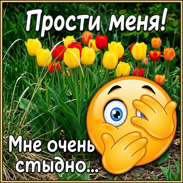 Картинка картинка прости и не сердись