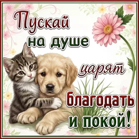 Открытка открытка желаю много счастья