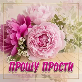 Открытка очень нежная картинка прости