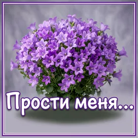 Картинка открытка прошу прости