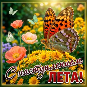 Картинка прикольная открытка с наступлением лета