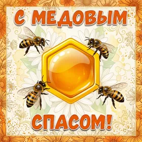 Открытка потрясающая картинка медовый спас